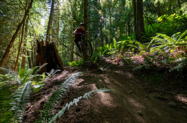 Velocio Merino Trail Jersey