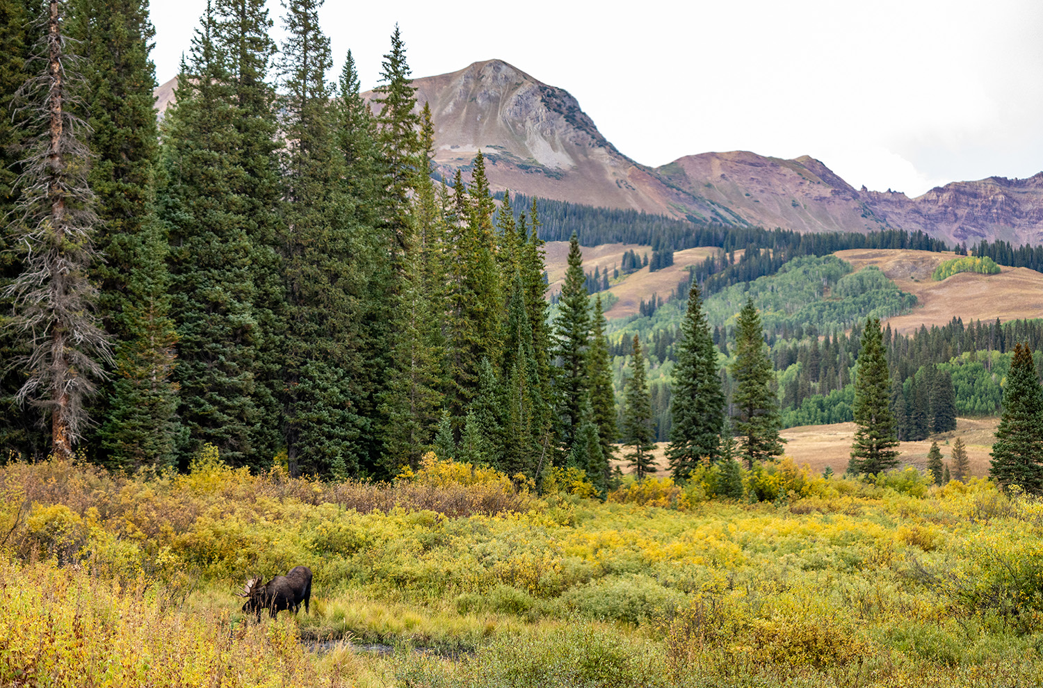 taken by Luke Koppa on public U.S. Forest Service land