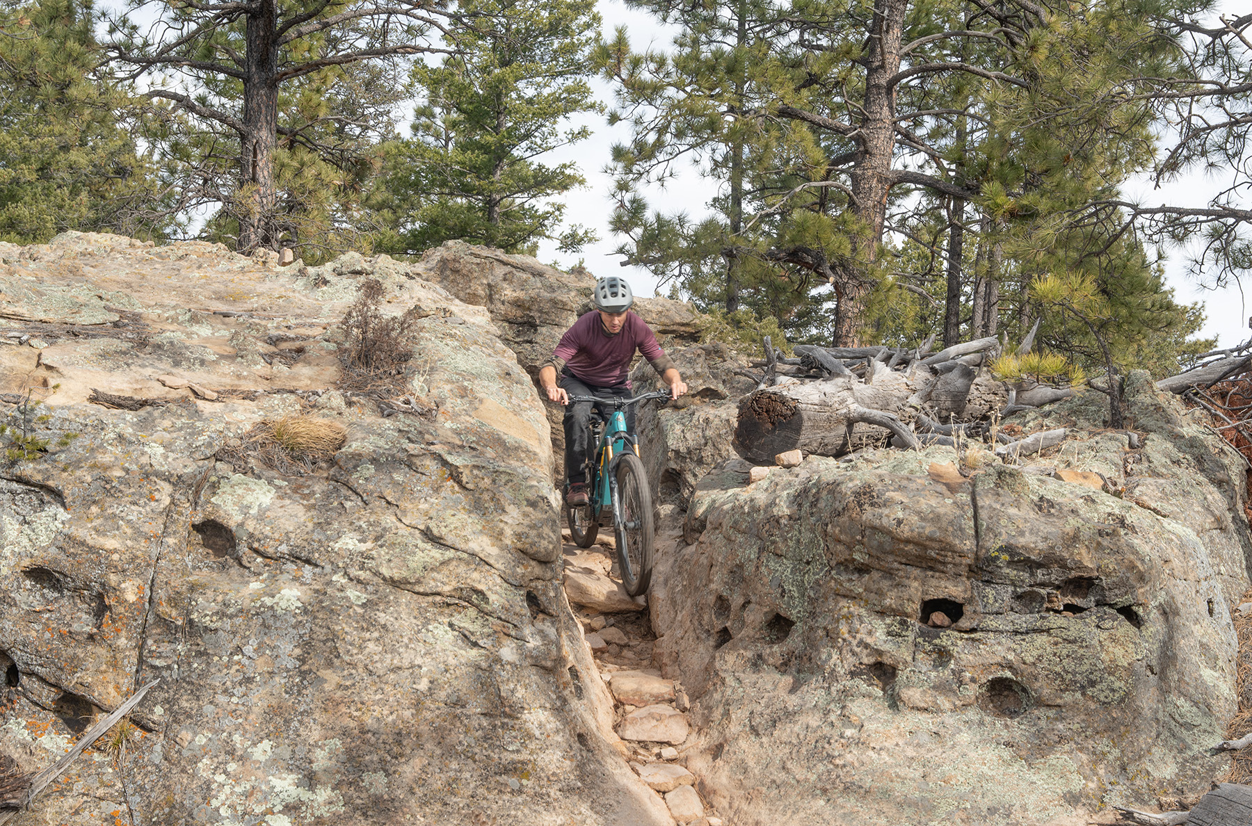 Simon Stewart reviews the Yeti LTE