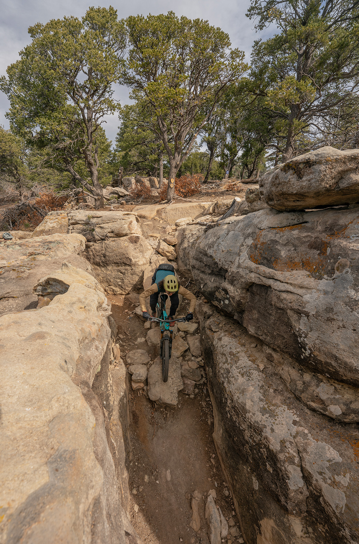 Simon Stewart reviews the Yeti LTE