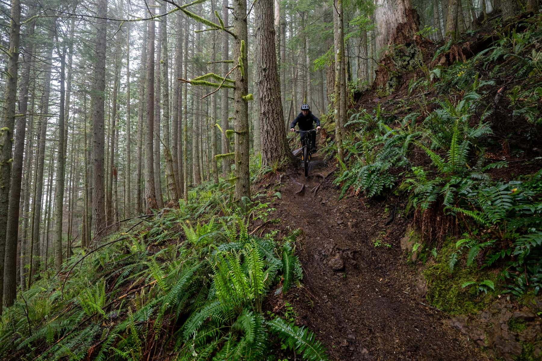 Zack Henderson and David Golay review the SRAM Eagle 90 Transmission group for Blister
