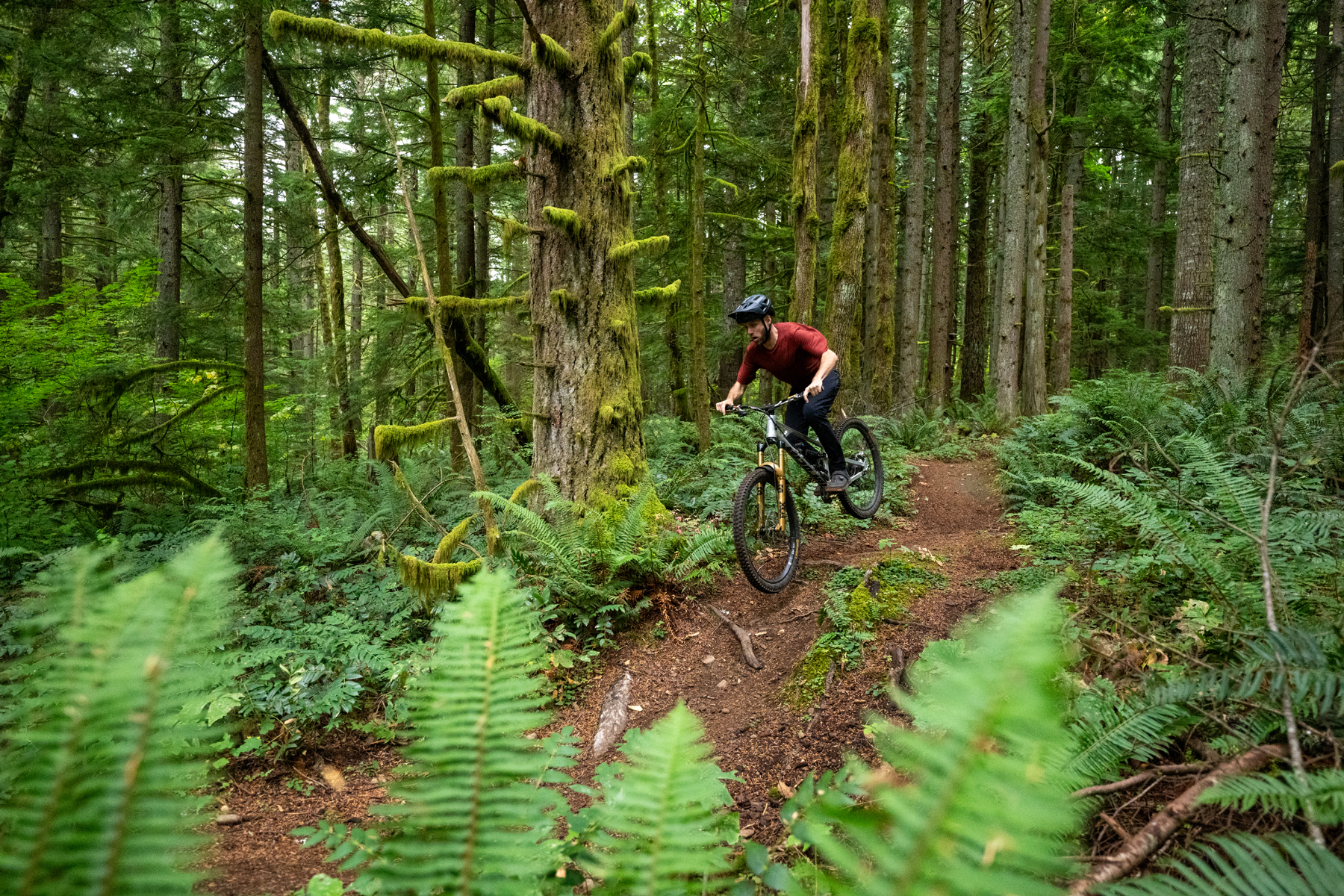 David Golay reviews the Trickstuff Maxima Brakes for Blister