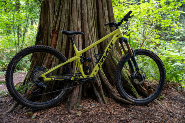 David Golay reviews the Pivot Firebird V5 for Blister