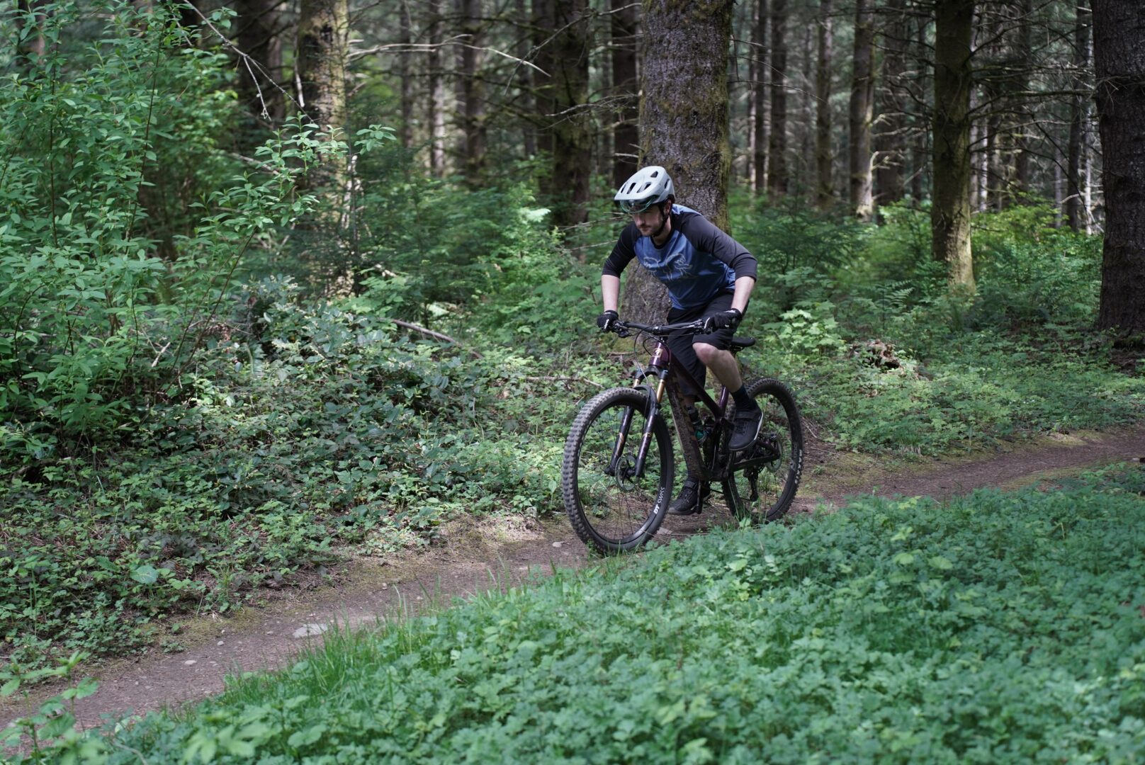 Zack Henderson reviews the Giro Chamber III Shoes for Blister