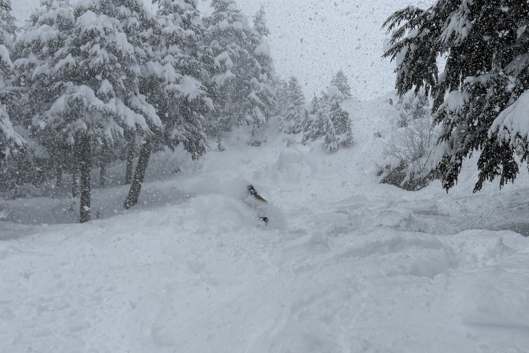 Andrew Forward reviews the United Shapes Deep Reach for BLISTER