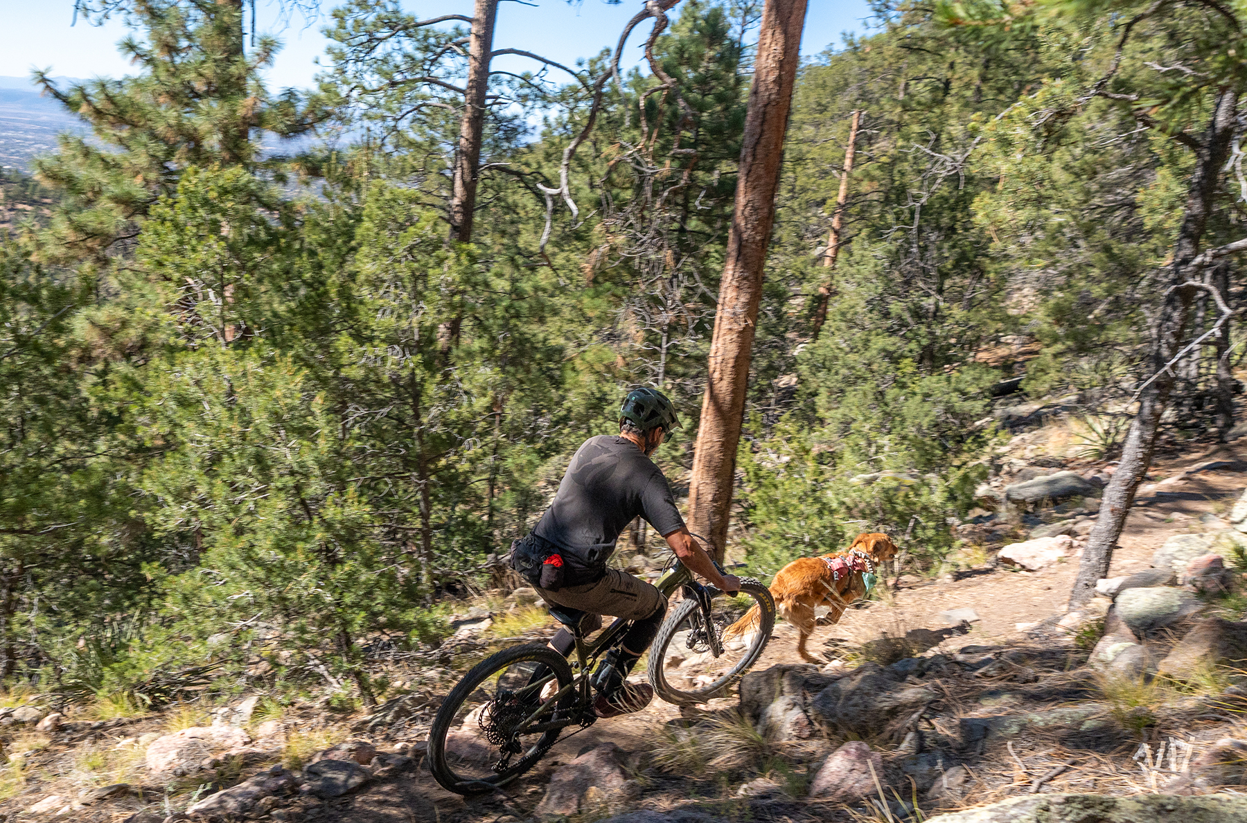 Simon Stewart reviews the Esker Woodsy