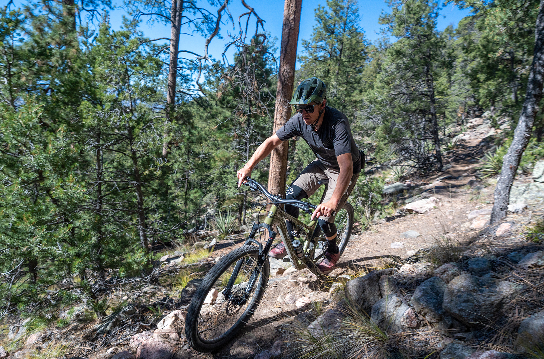 Simon Stewart reviews the Esker Woodsy