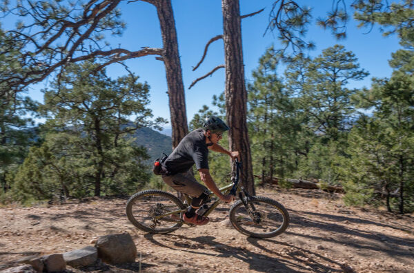 Simon Stewart reviews the Esker Woodsy