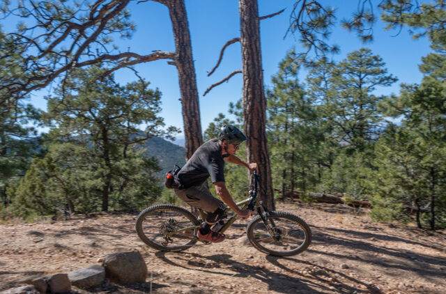 Simon Stewart reviews the Esker Woodsy