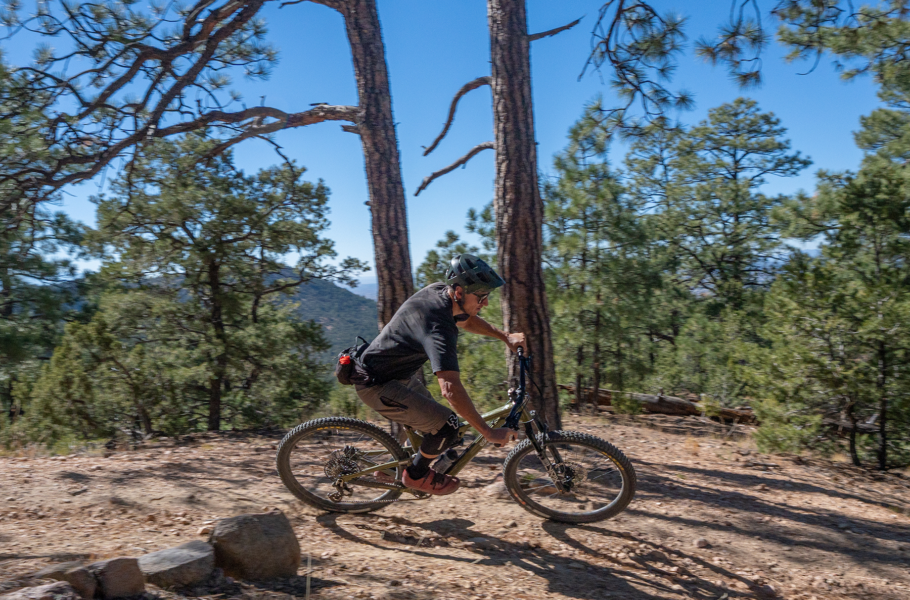 Simon Stewart reviews the Esker Woodsy