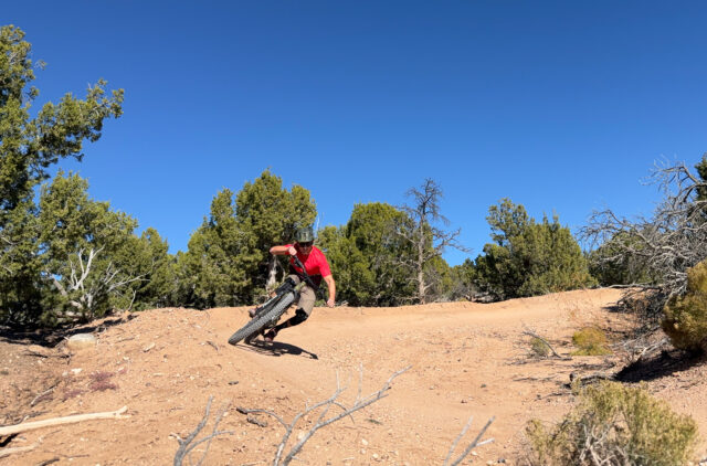 Simon Stewart reviews the Esker Woodsy