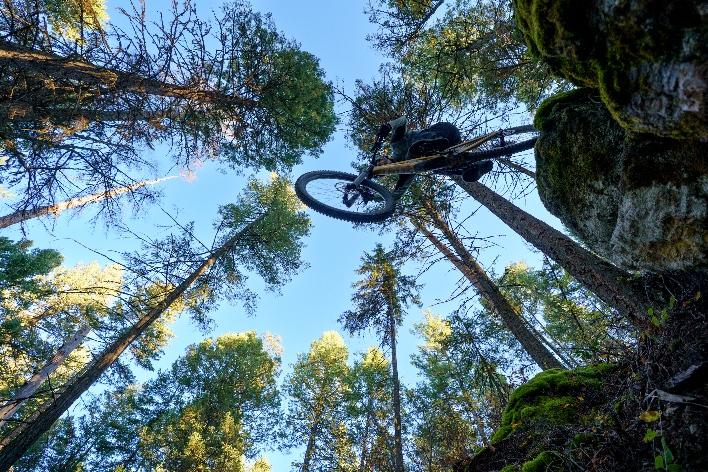 Noah Bodman reviews the Scott Ransom for Blister