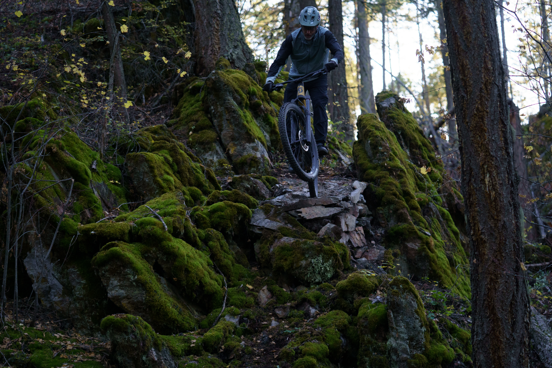 Noah Bodman reviews the Scott Ransom for Blister