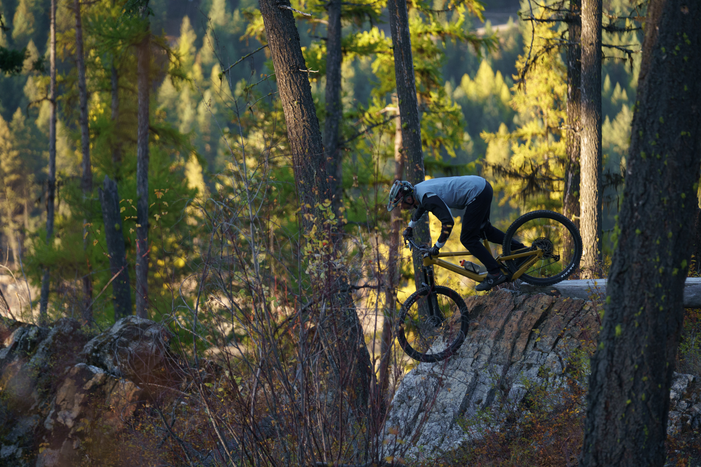 Noah Bodman reviews the Scott Ransom for Blister