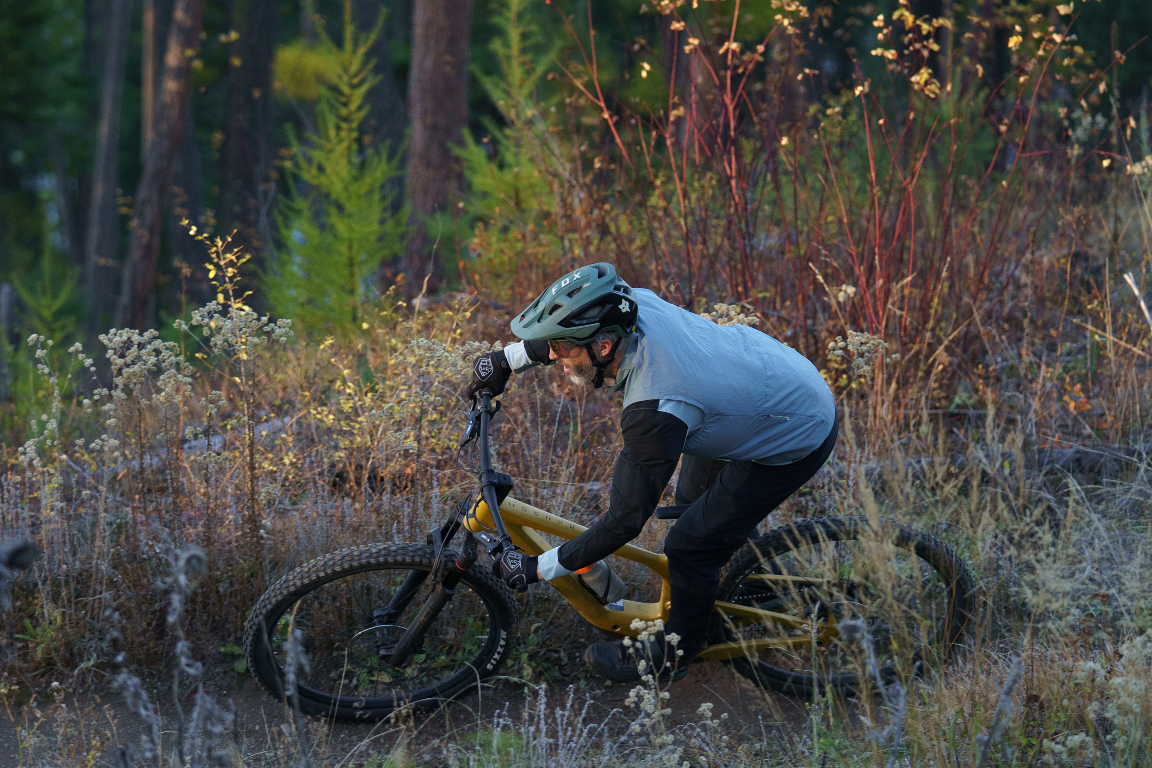 Noah Bodman reviews the Scott Ransom for Blister