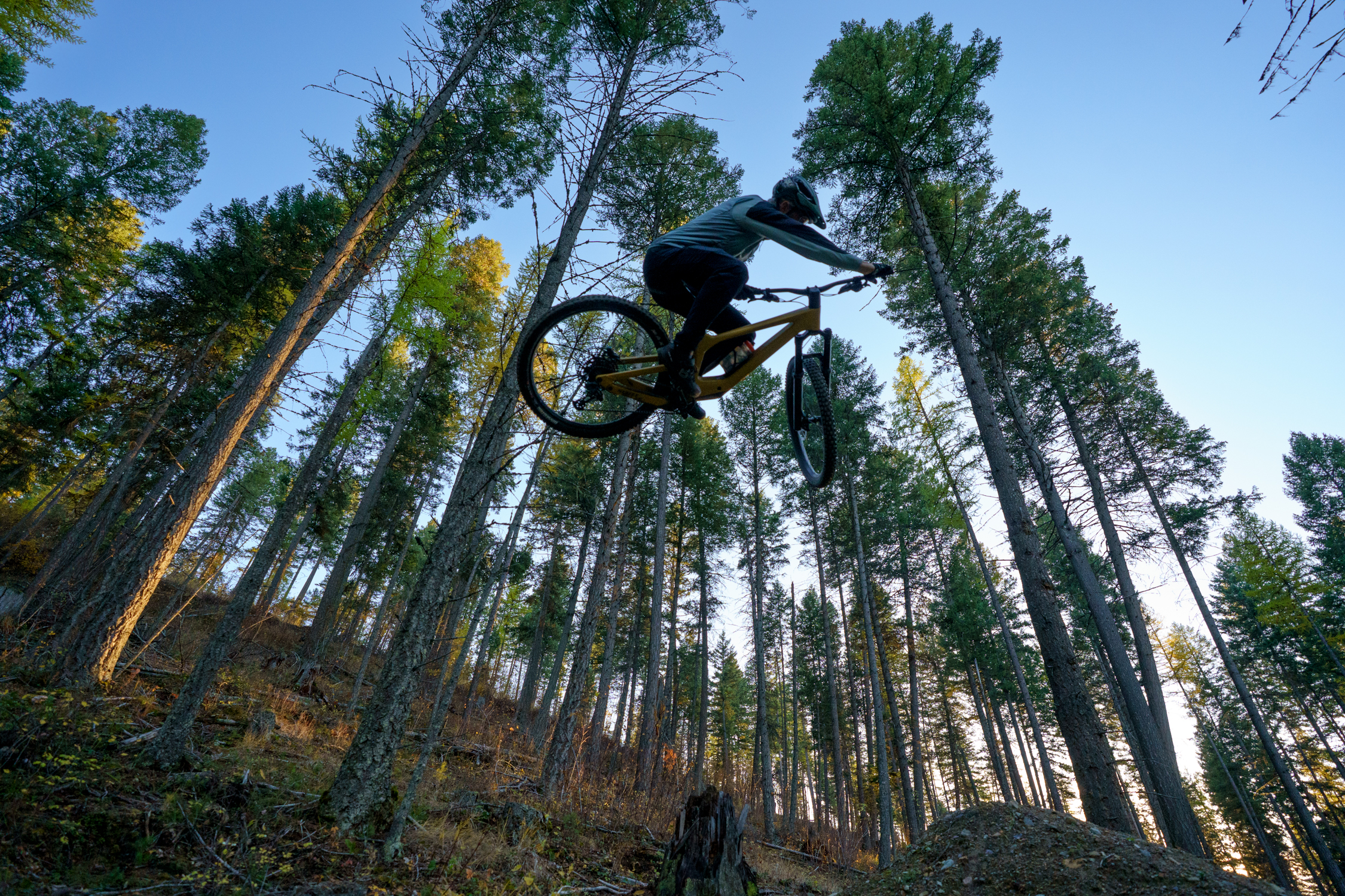 Noah Bodman reviews the Scott Ransom for Blister