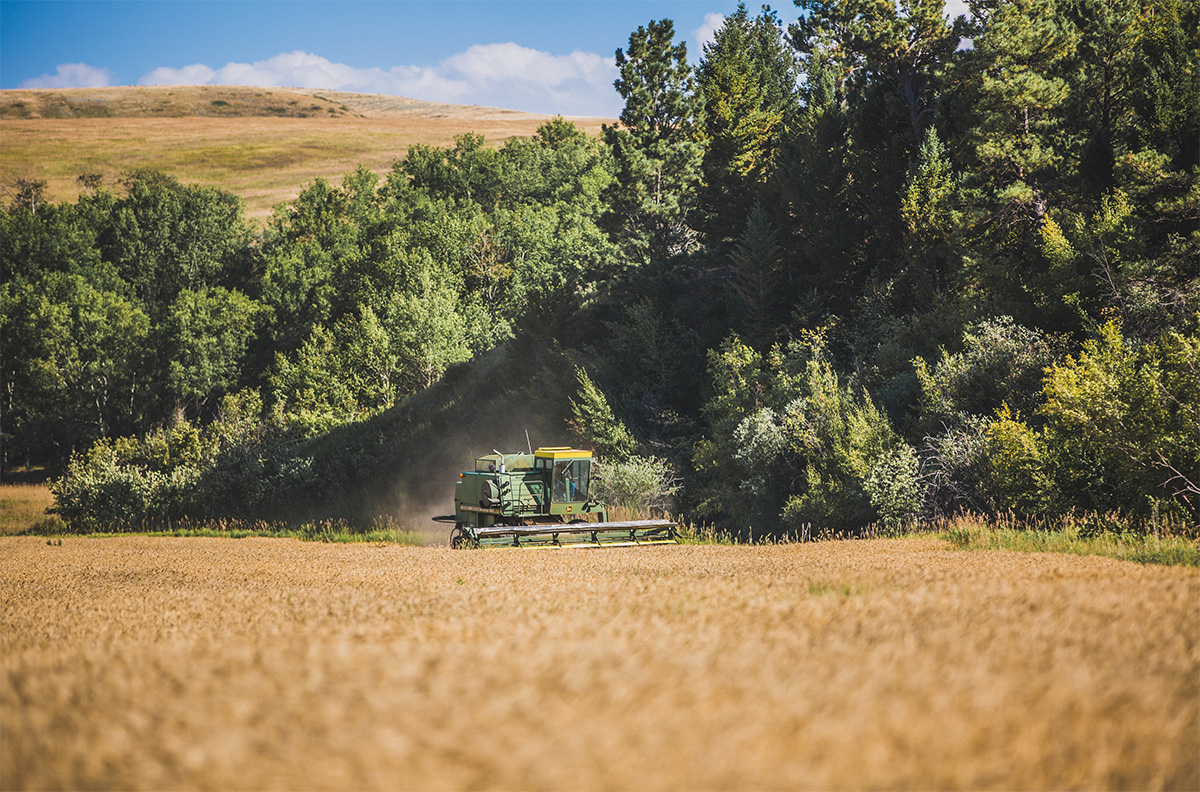 photo by Montgomery Distilling