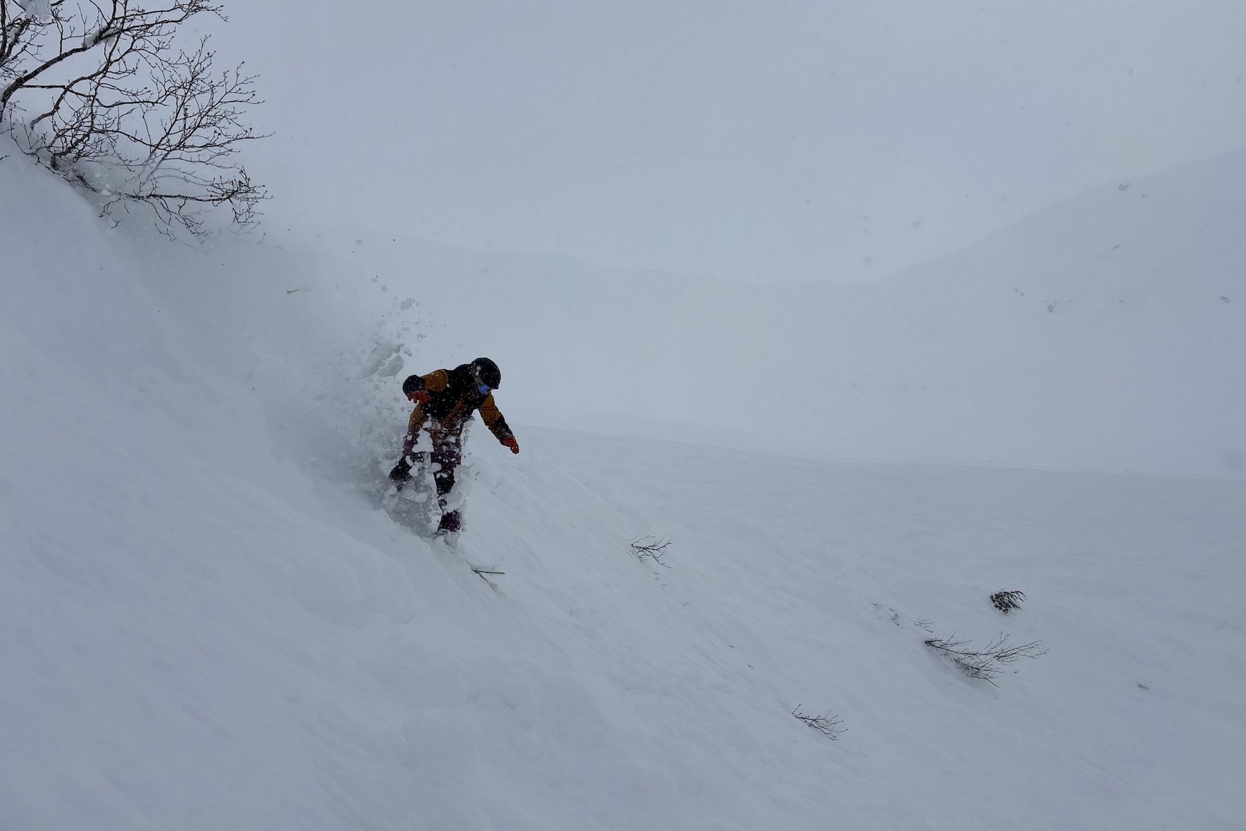 Andrew Forward reviews the Jones Howler for BLISTER