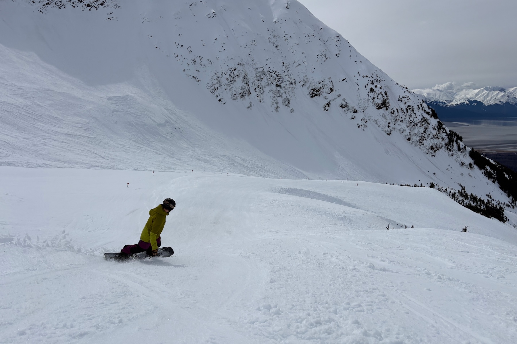 Andrew Forward reviews the Jones Howler for BLISTER