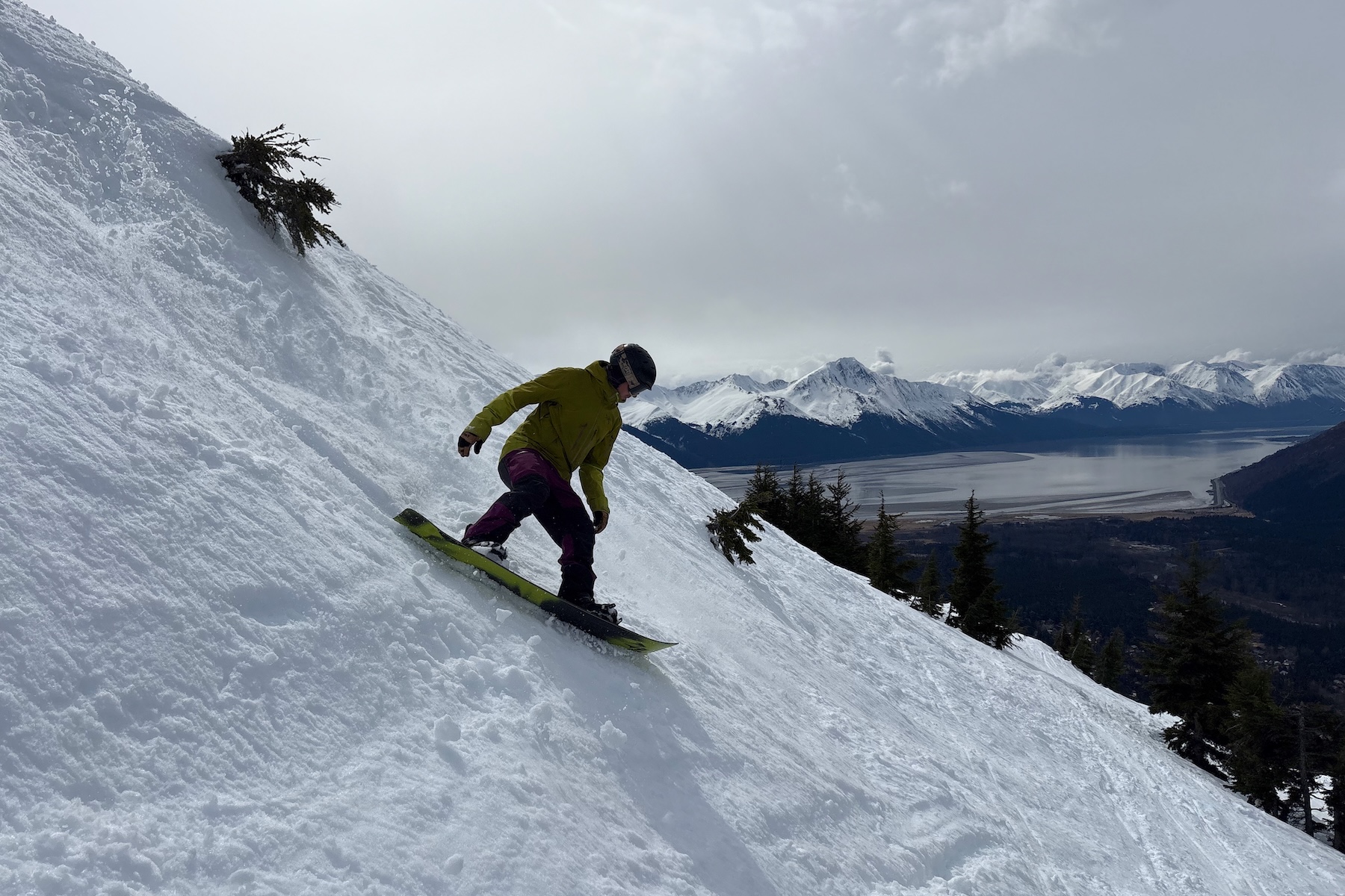 Andrew Forward reviews the Jones Howler for BLISTER