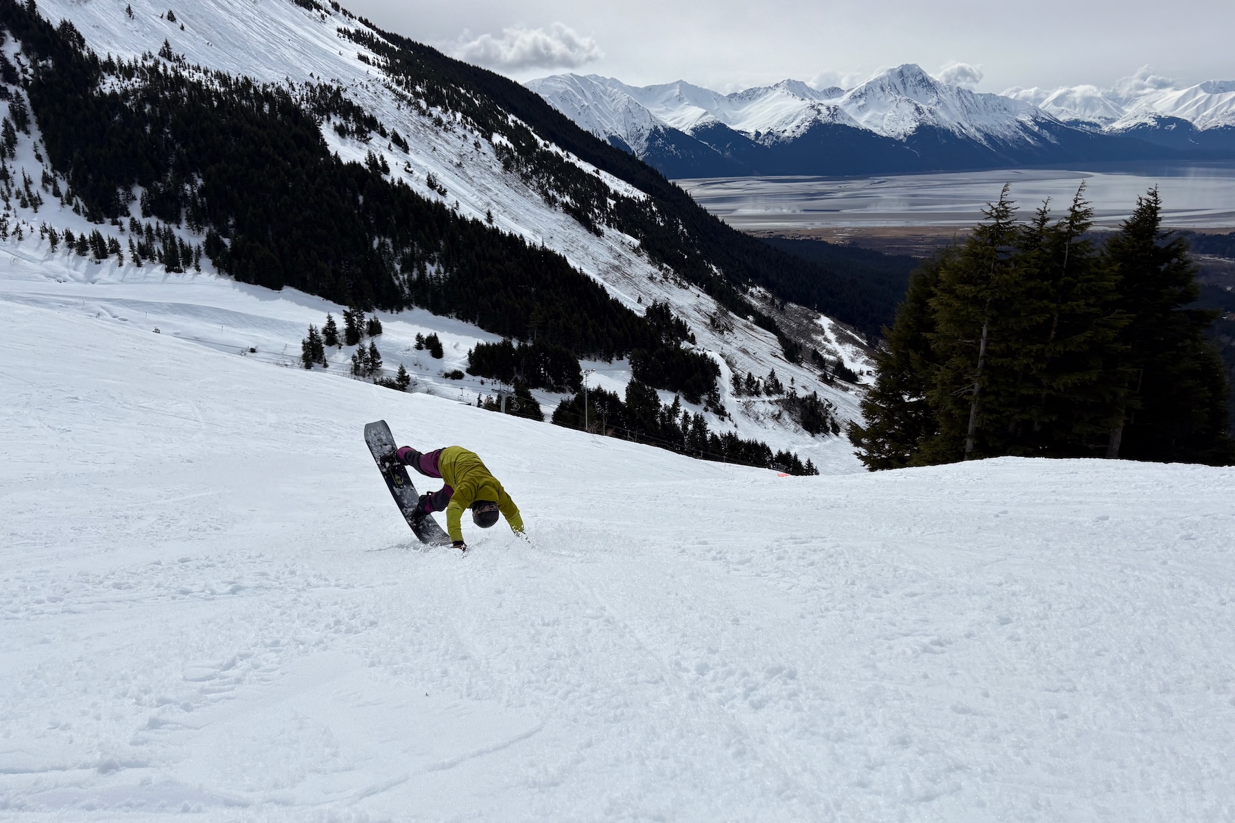 Andrew Forward reviews the Jones Howler for BLISTER