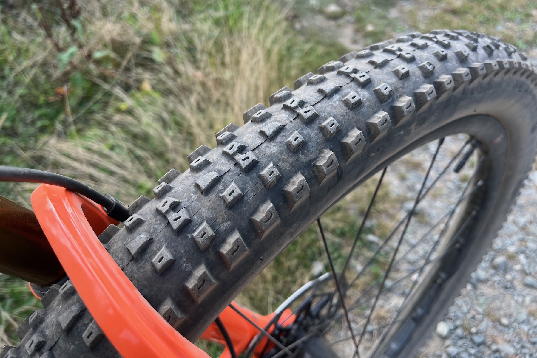 Zack Henderson reviews the WTB Peacekeeper tires for BLISTER
