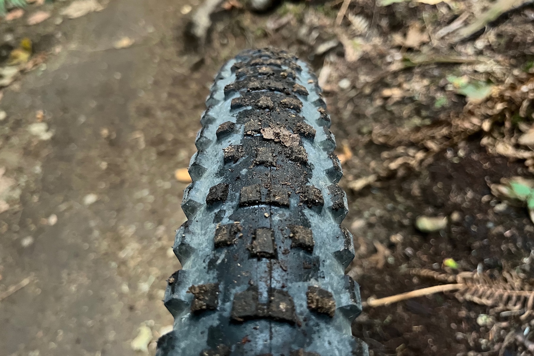 Zack Henderson reviews the WTB Peacekeeper tires for BLISTER