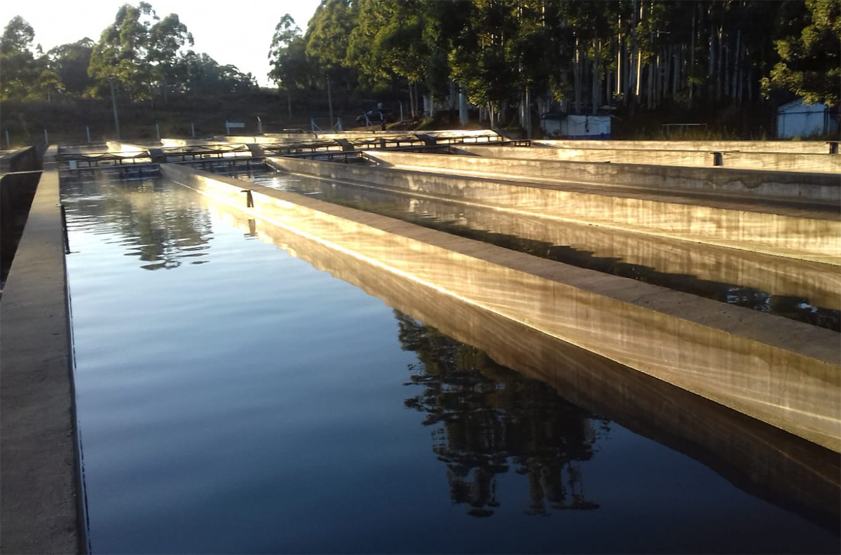 Sturgeon raceways (photo courtesy of Black River Caviar)