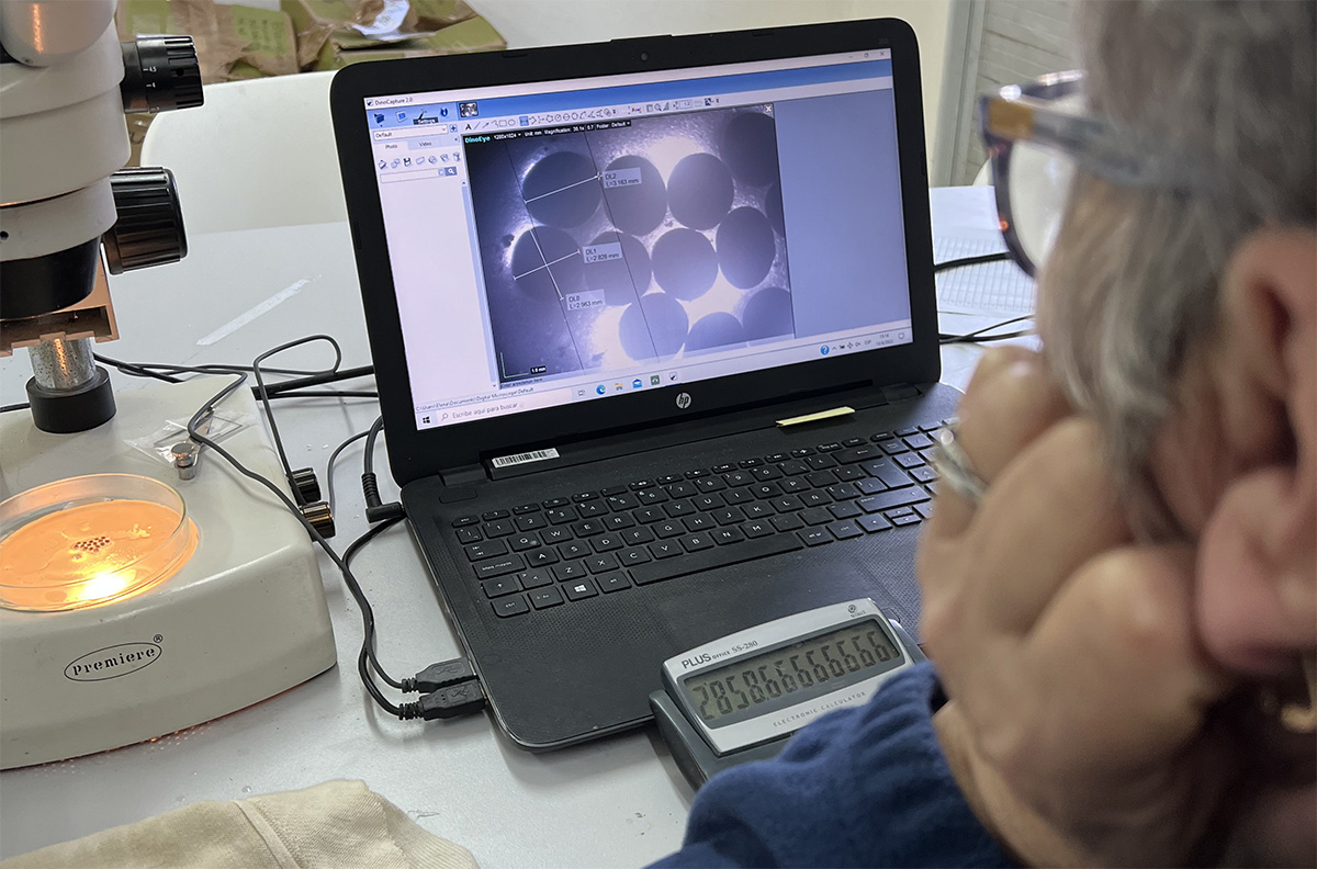 Biopsy roe measurement (photo courtesy of Black River Caviar)