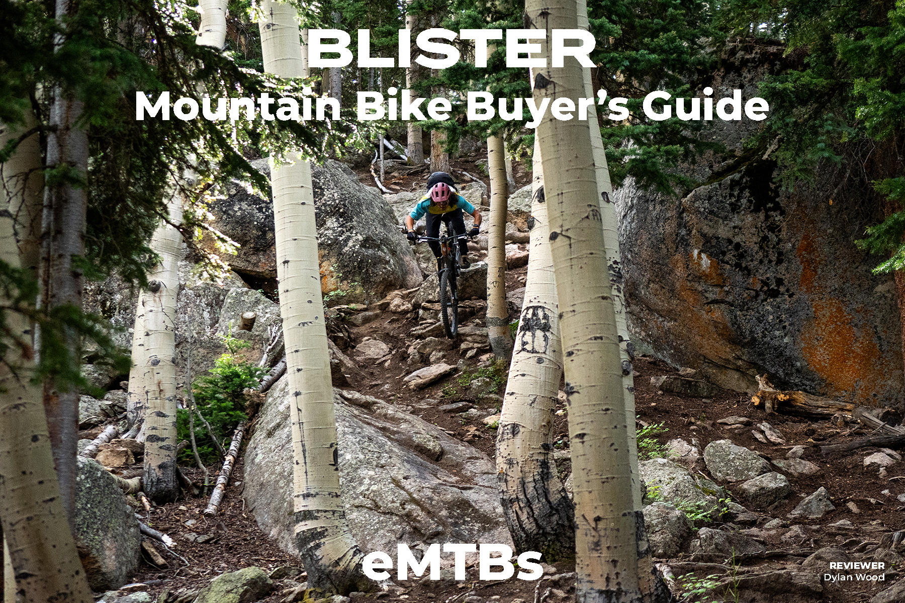 Blister Mountain Bike Buyer's Guide — eMTBs