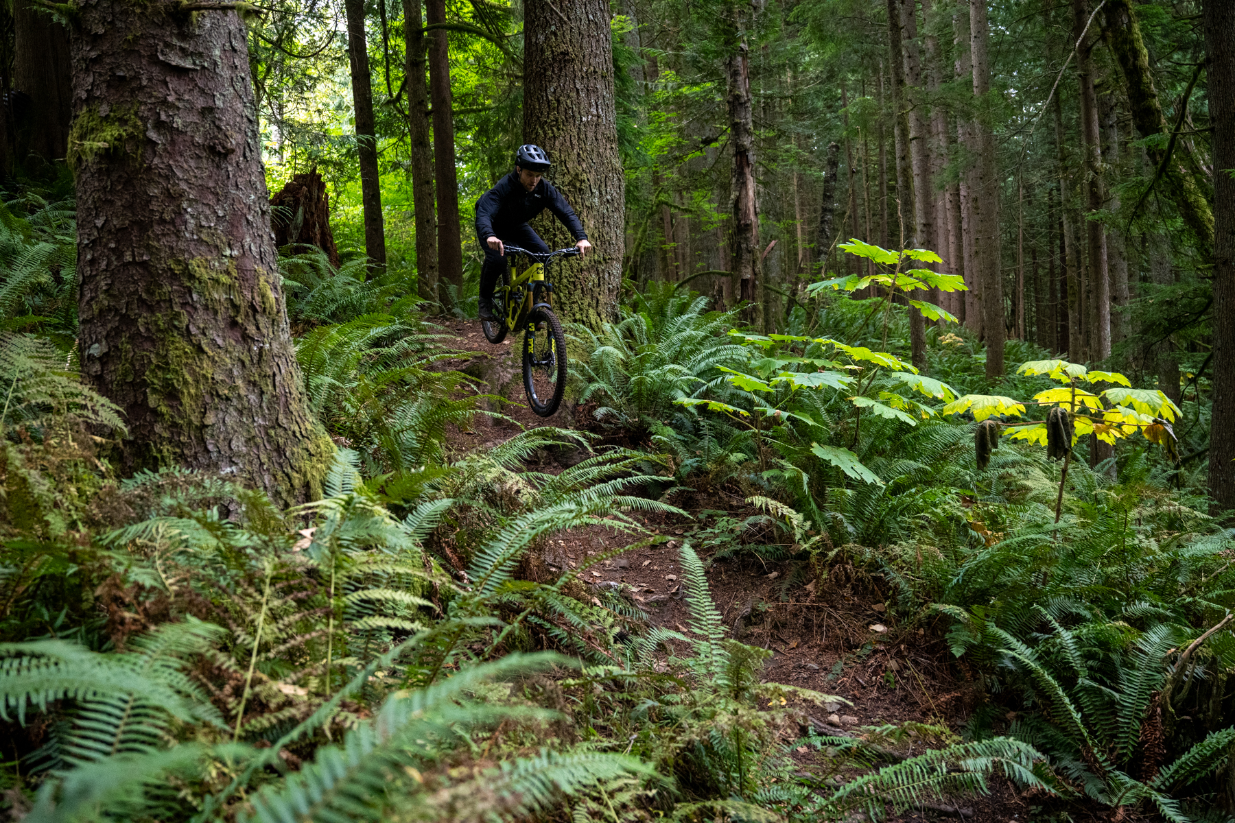 David Golay reviews the Shimano XT M8200 Di2 Drivetrain for Blister