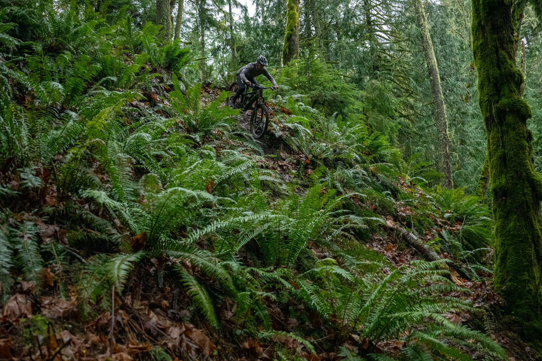 Zack Henderson reviews the Magura Gustav Pro brakes for BLISTER