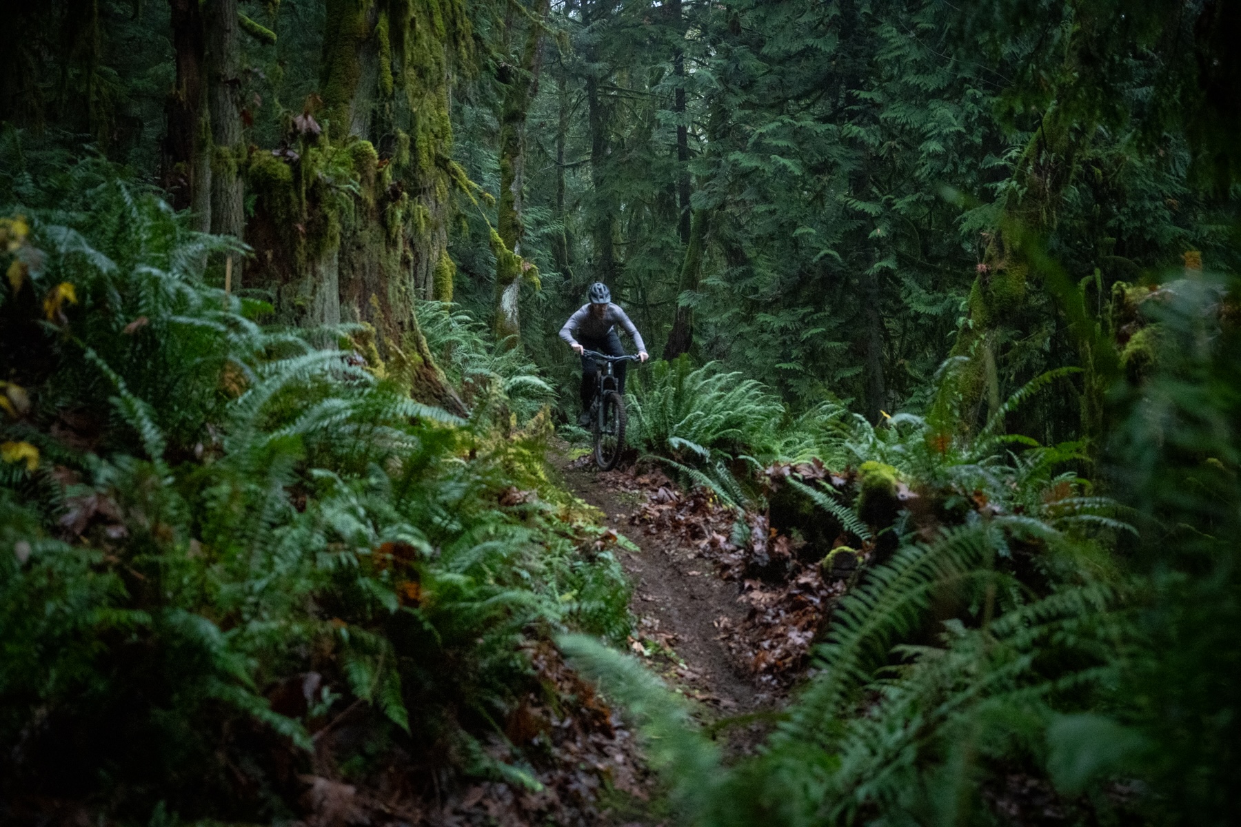 Zack Henderson reviews the Magura Gustav Pro brakes for BLISTER