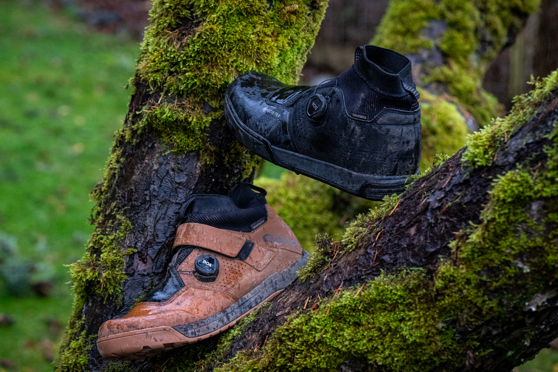 David Golay reviews the Shimano GE900 GTX Shoes for Blister