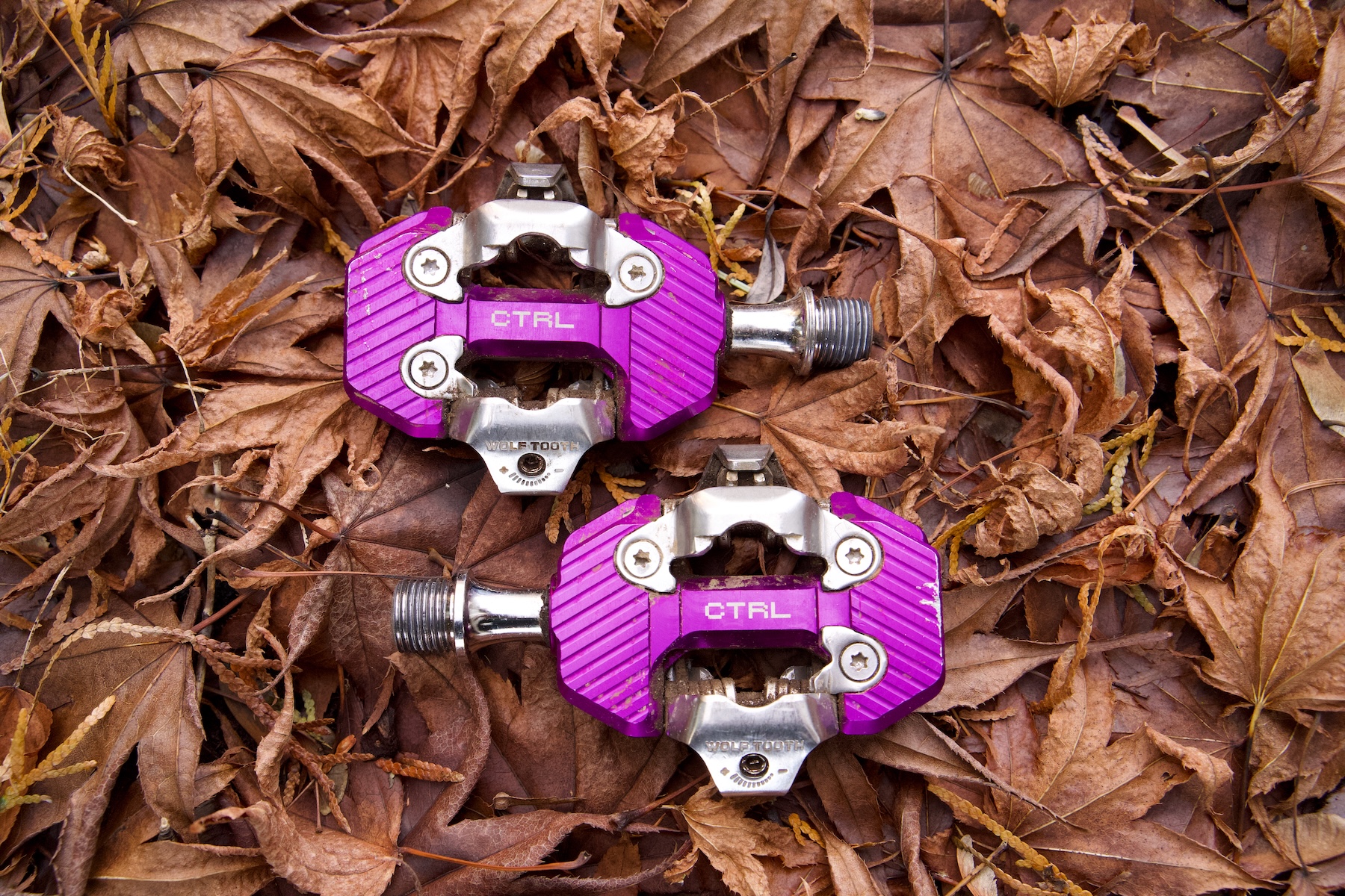 Zack Henderson reviews the Wolf Tooth CTRL Trail Clip pedals for BLISTER
