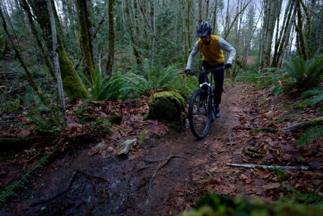 Zack Henderson reviews the Wolf Tooth CTRL Trail Clip pedals for BLISTER