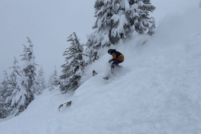 Andrew Forward reviews the K2 Alchemist for BLISTER