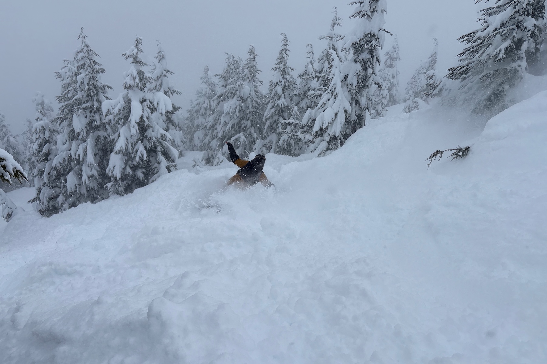 Andrew Forward reviews the K2 Alchemist for BLISTER