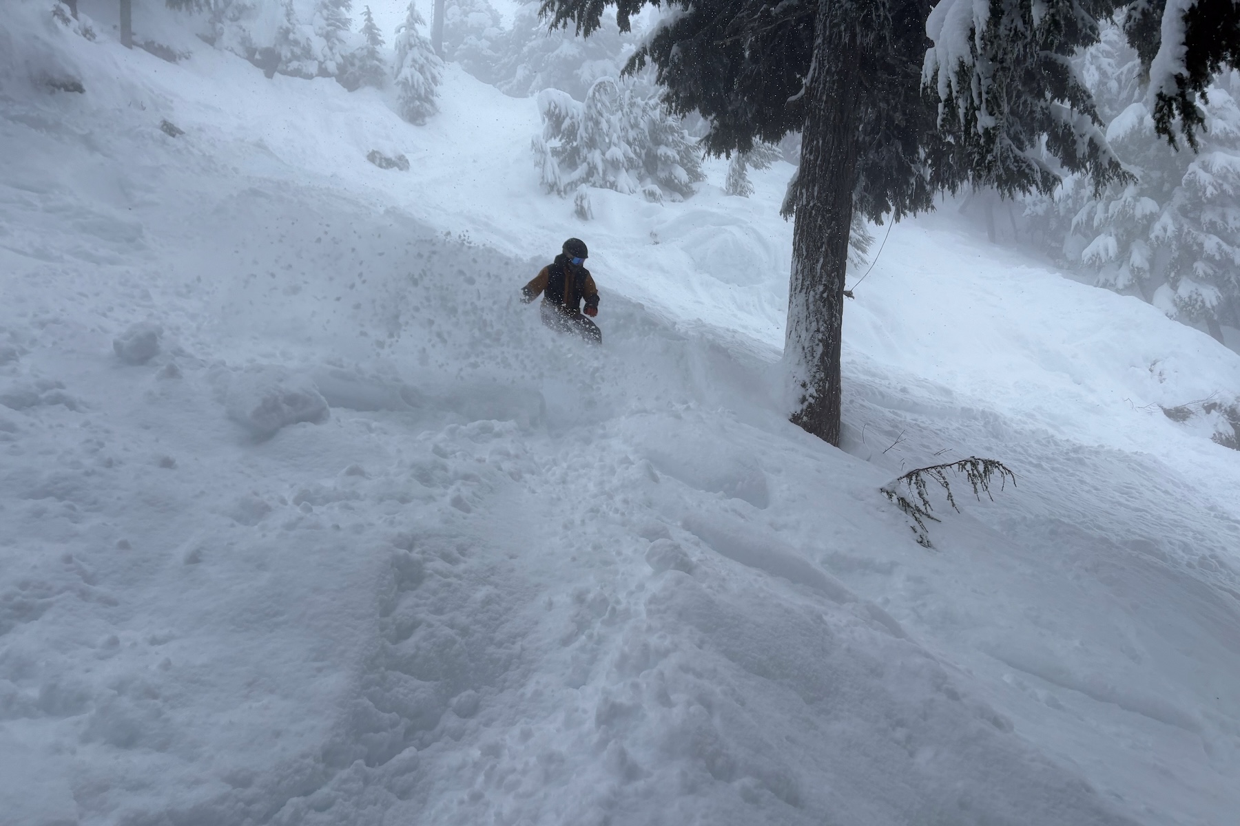 Andrew Forward reviews the K2 Alchemist for BLISTER