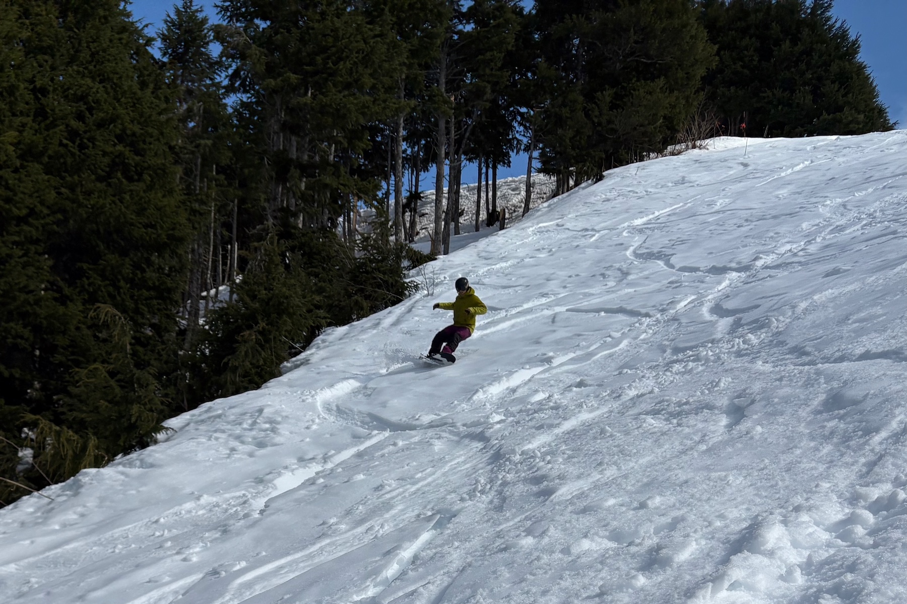 Andrew Forward reviews the Weston Gnarnia for BLISTER