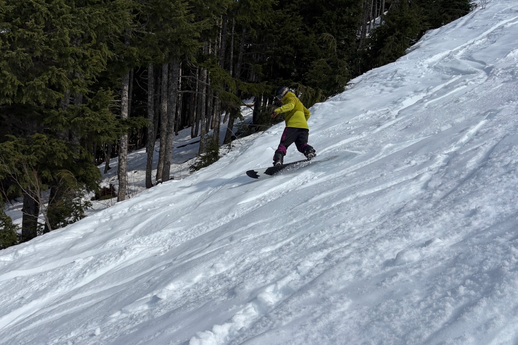 Andrew Forward reviews the Weston Gnarnia for BLISTER