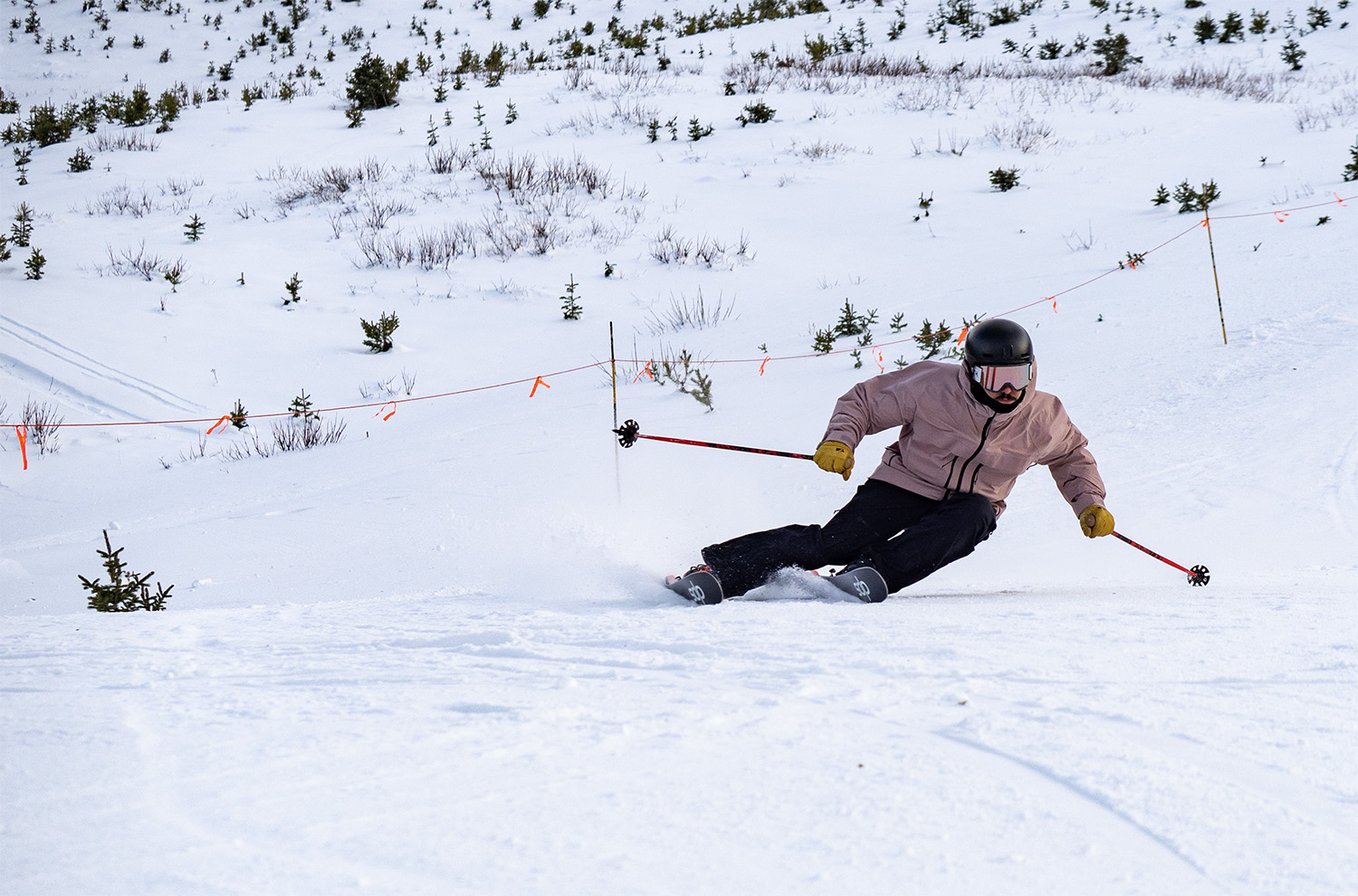 2025-2026 DPS Pisteworks 94