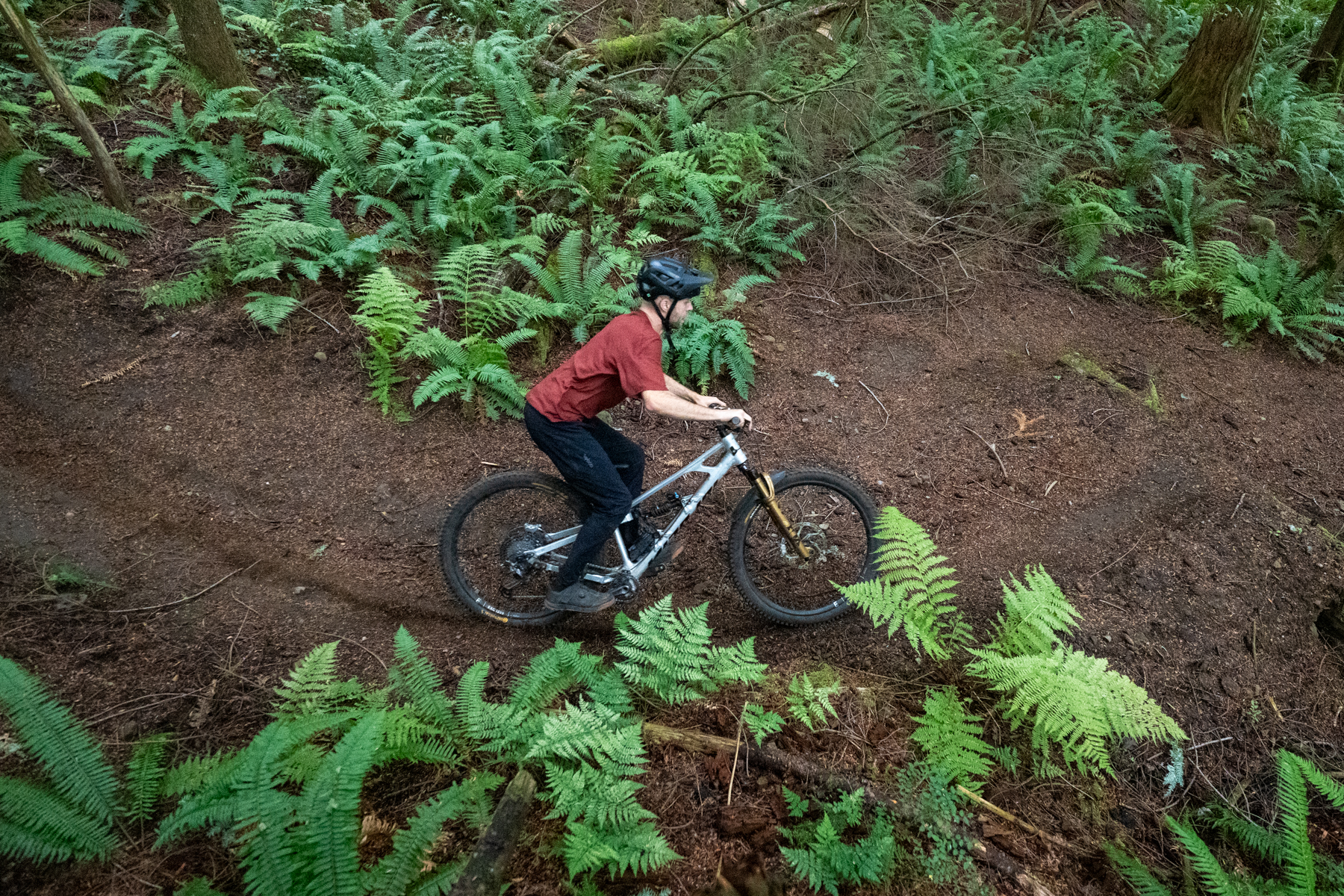 Reviewer Reports: Chain Dampers, Gearboxes, High-Pivots & More (Ep.309)