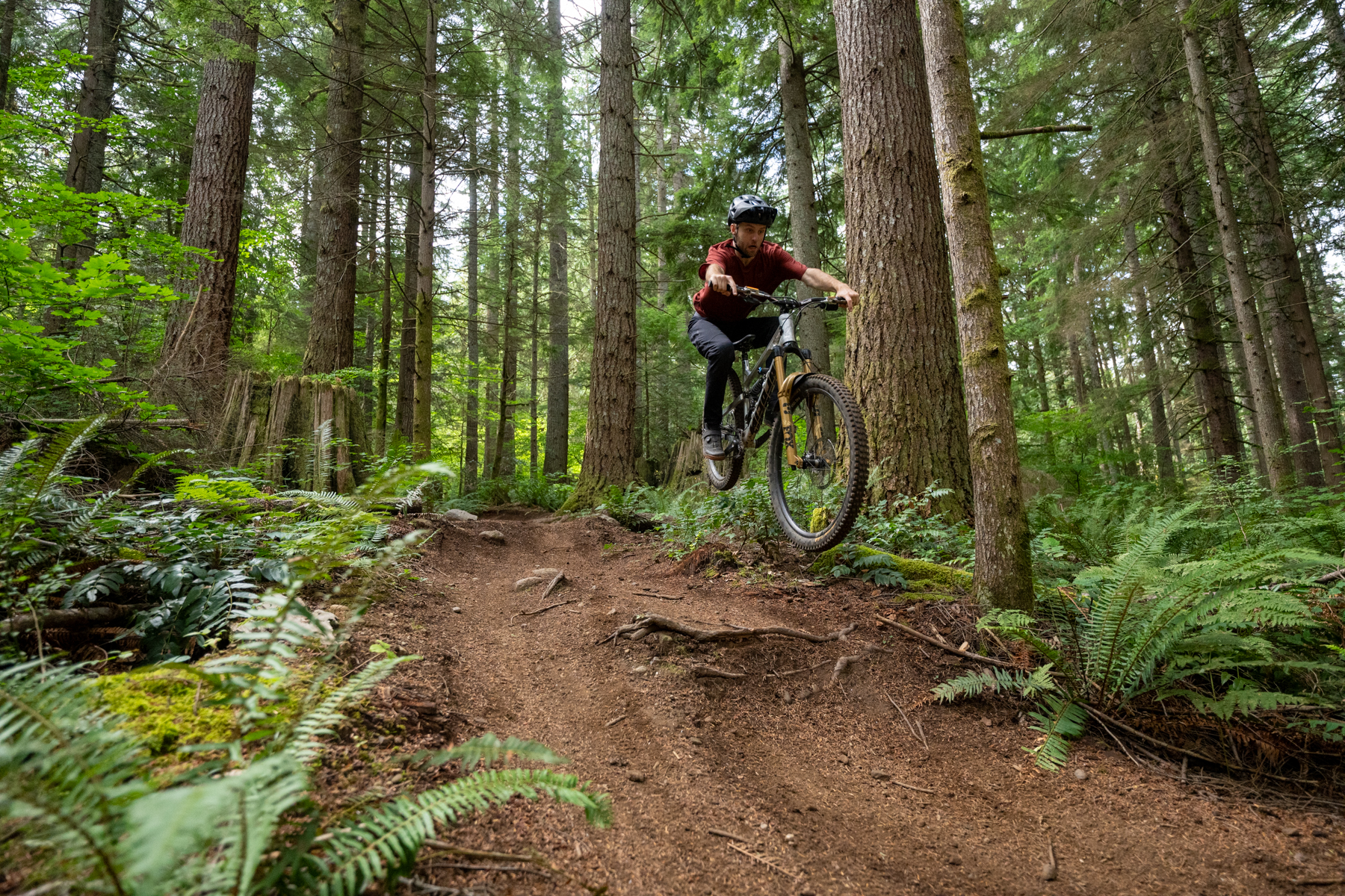 Chain Damper Roundup: Ochain, Rimpact, and DT DEG DF