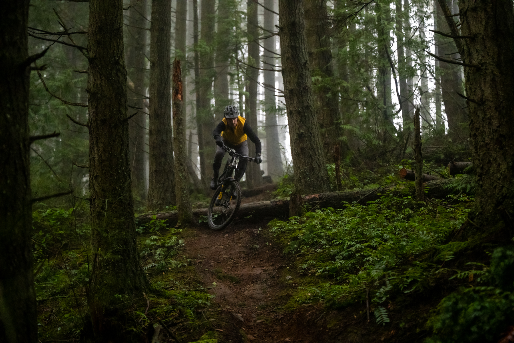 Chain Damper Roundup: Ochain, Rimpact, and DT DEG DF