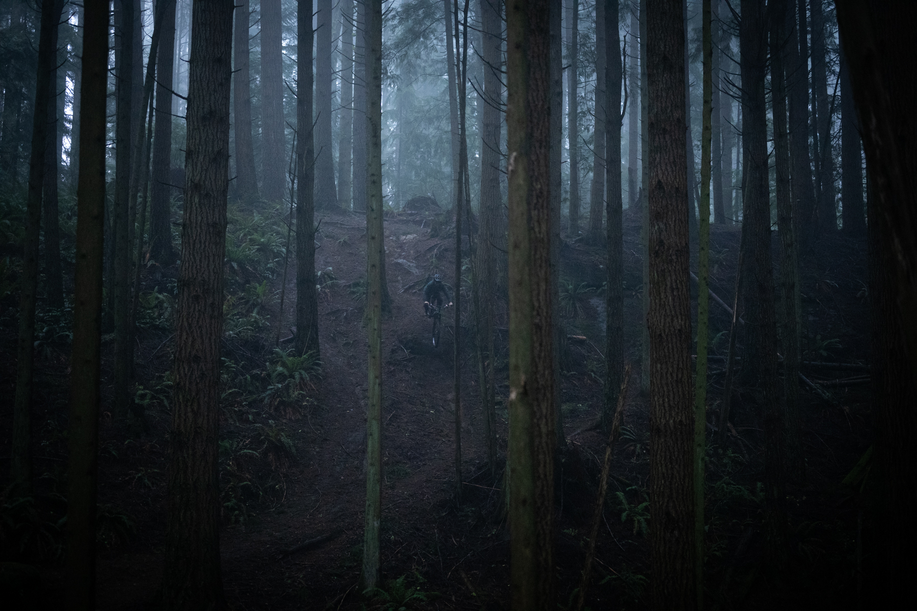 David Golay reviews the Enve M8 & M9 Pro wheels for Blister