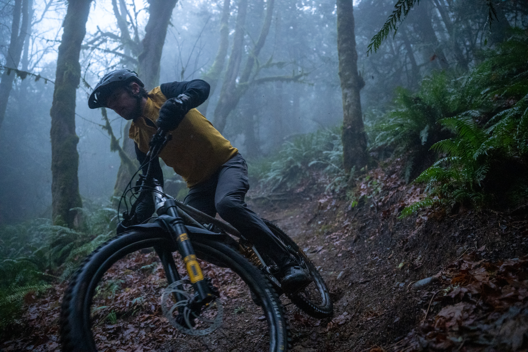 Chain Damper Roundup: Ochain, Rimpact, and DT DEG DF