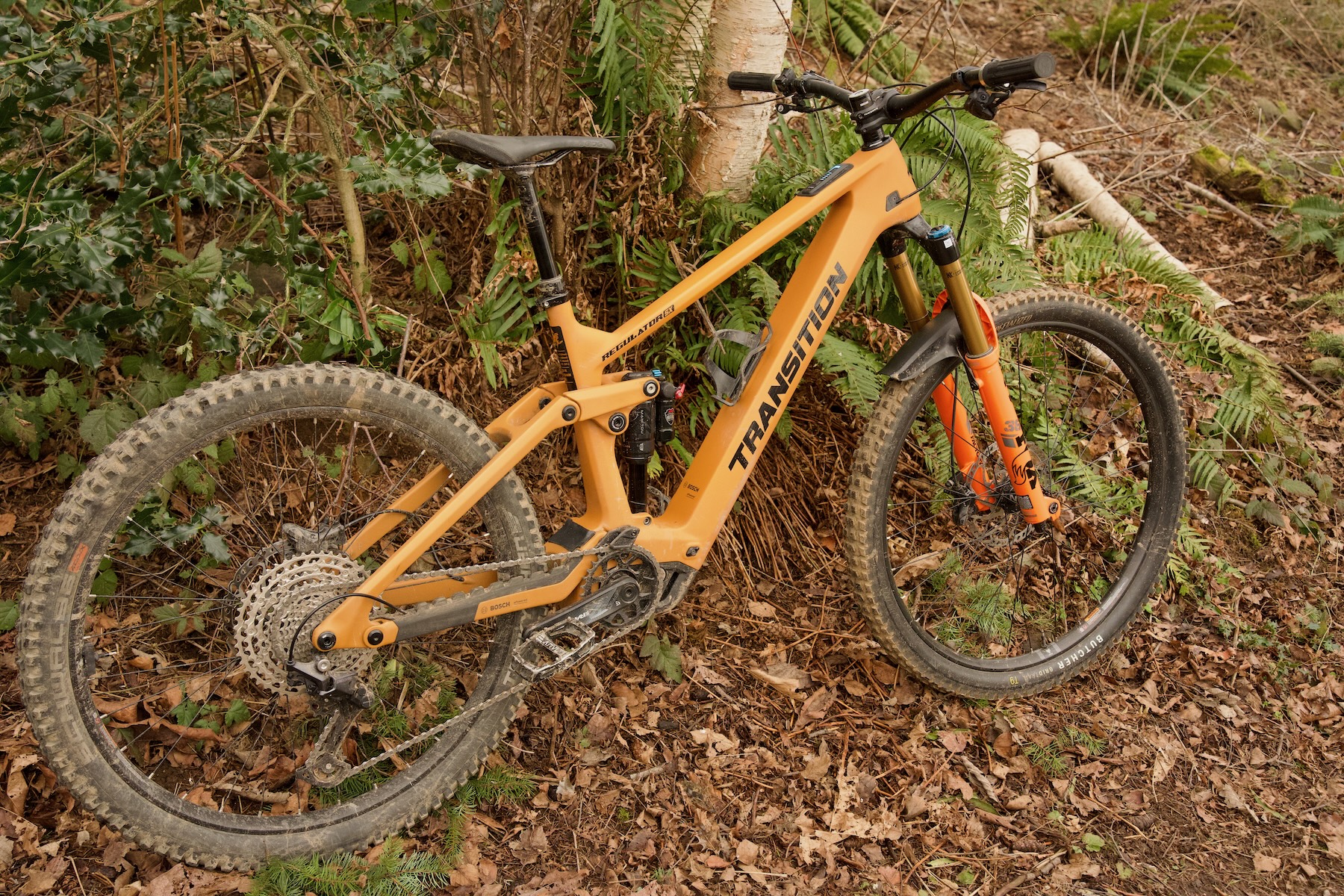 BLISTER reviews the Transition Regulator CX and SX