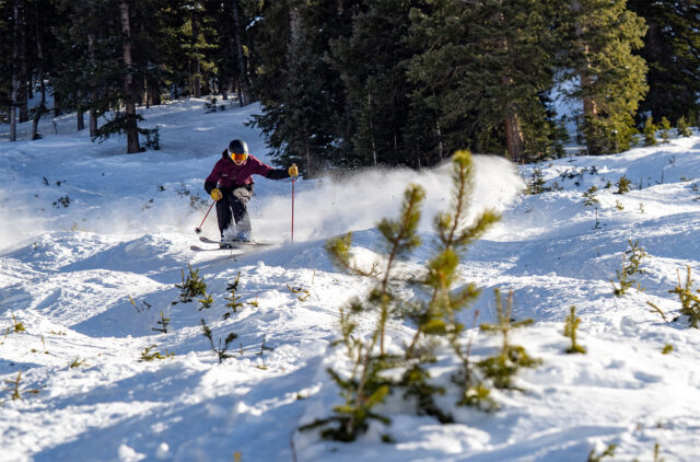 Blister reviews the Line Optic 88.