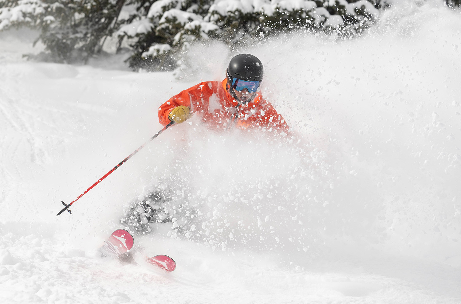 Blister reviews the Dynastar M-Free 112.